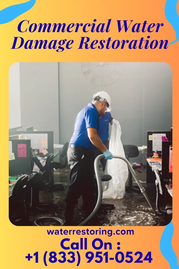 Commercial Water Damage Restoration in Lake City, MI