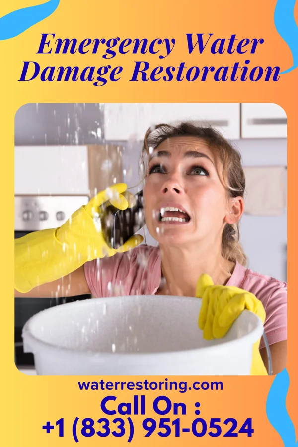 Emergency Water Damage Restoration in Lake City, MI