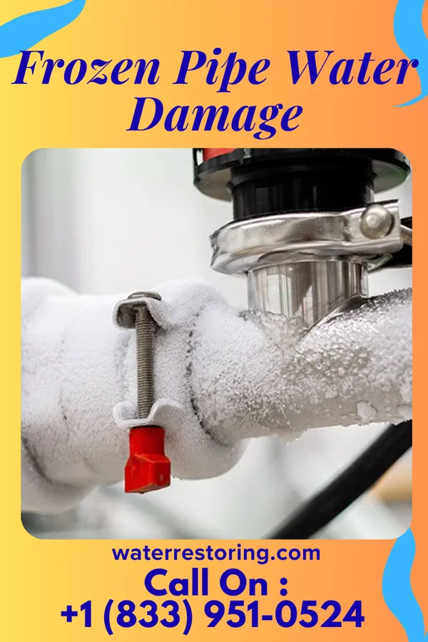 Frozen Pipe Water Damage in Lake City, MI