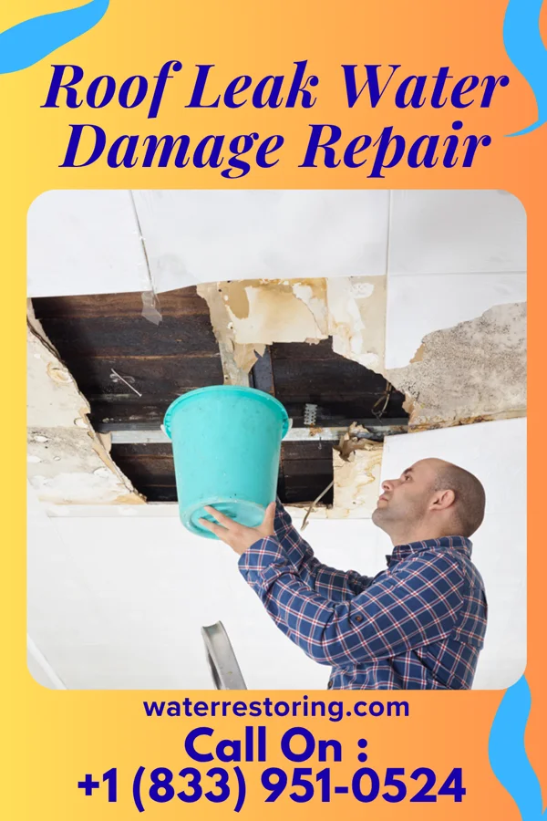 Roof Leak Water Damage Repair in Lake City, MI