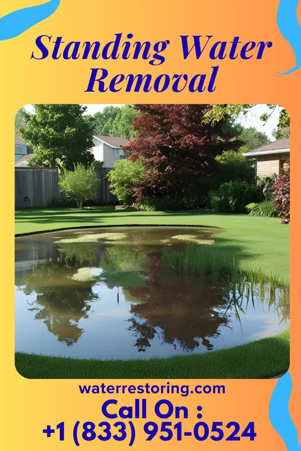 Standing Water Removal in Lake City, MI